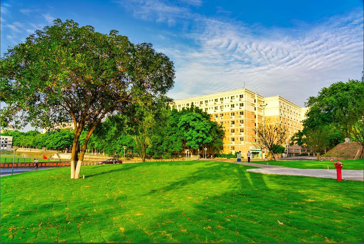 校史馆阳光草坪.jpg